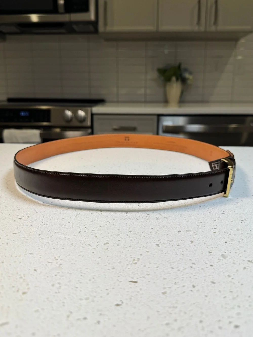Trafalgar Dark Brown Cortina Leather Belt Square Solid Brass Buckle 38